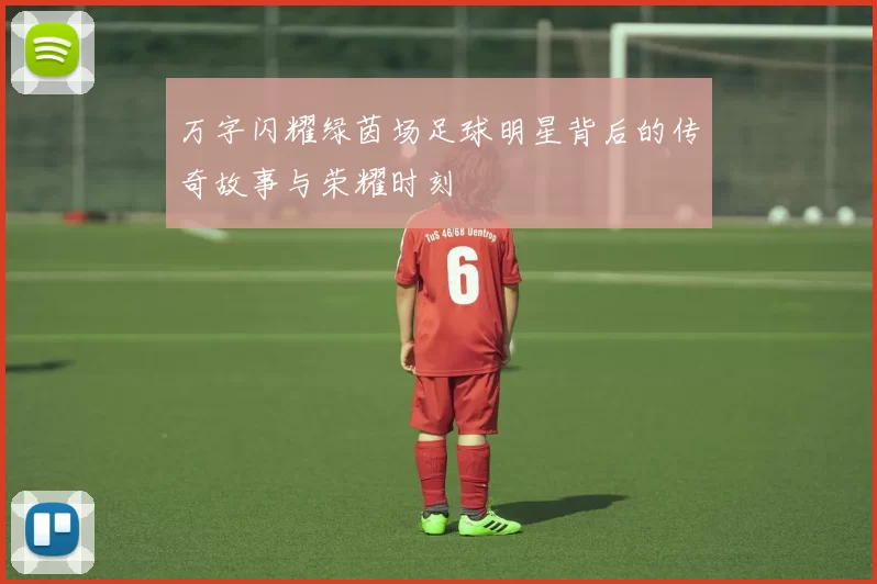 万字闪耀绿茵场足球明星背后的传奇故事与荣耀时刻