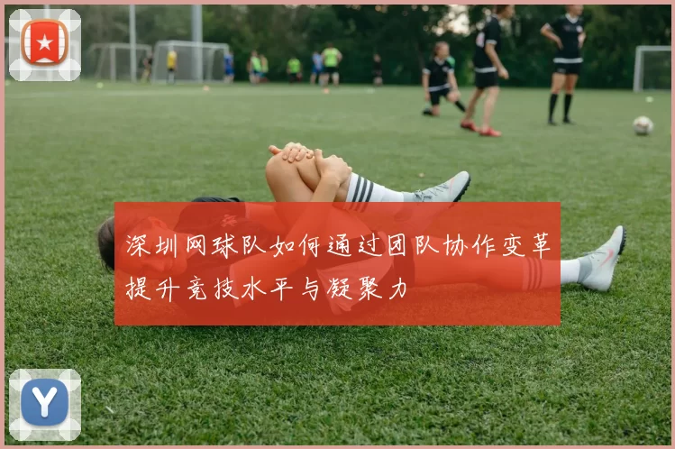 深圳网球队如何通过团队协作变革提升竞技水平与凝聚力