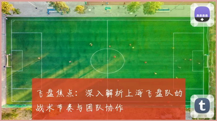 飞盘焦点：深入解析上海飞盘队的战术节奏与团队协作
