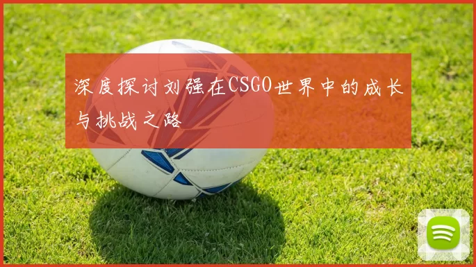 深度探讨刘强在CSGO世界中的成长与挑战之路