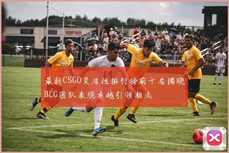 最新CSGO灵活性排行榜前十名揭晓BLG团队表现卓越引领潮流