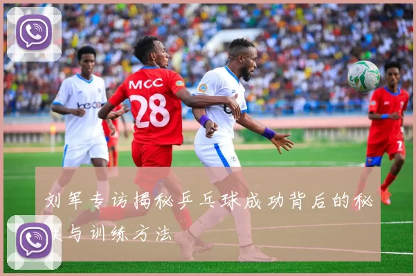 刘军专访揭秘乒乓球成功背后的秘诀与训练方法