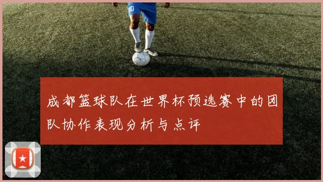 成都篮球队在世界杯预选赛中的团队协作表现分析与点评