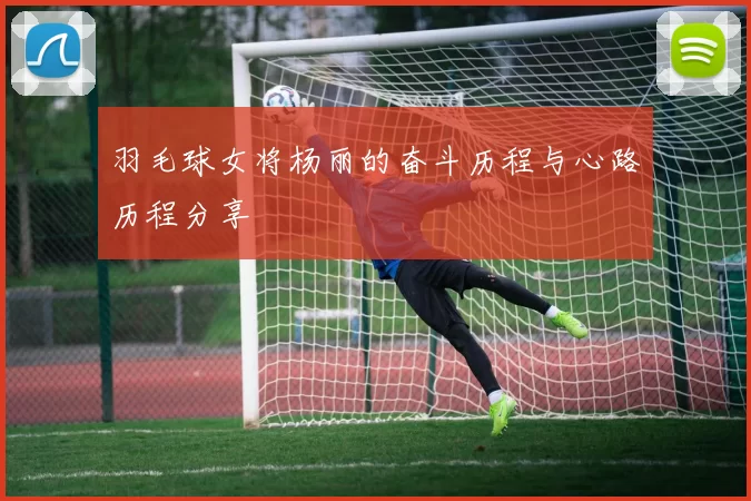 羽毛球女将杨丽的奋斗历程与心路历程分享
