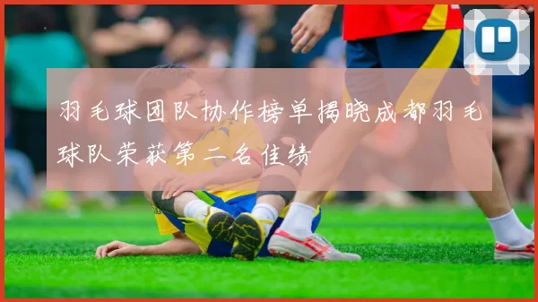 羽毛球团队协作榜单揭晓成都羽毛球队荣获第二名佳绩