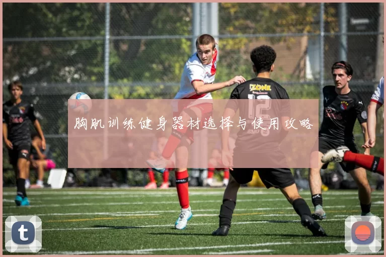 胸肌训练健身器材选择与使用攻略