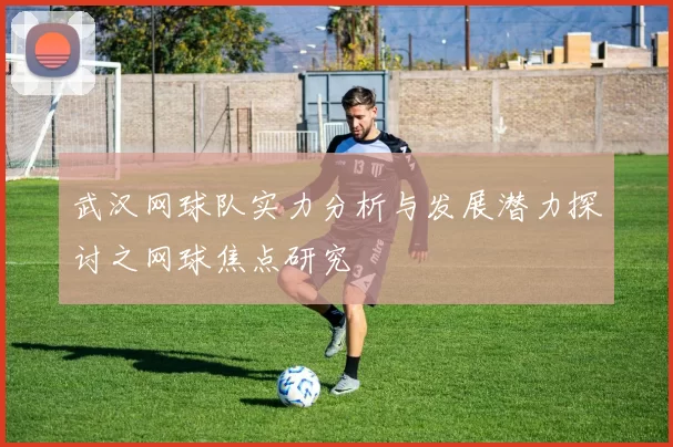 武汉网球队实力分析与发展潜力探讨之网球焦点研究