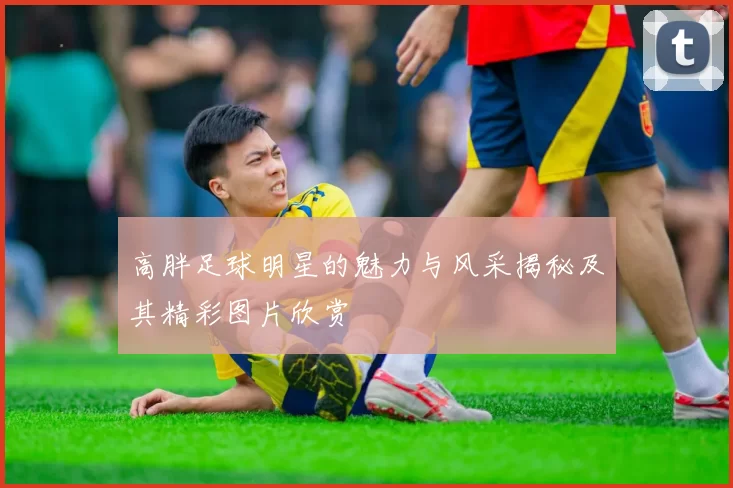 高胖足球明星的魅力与风采揭秘及其精彩图片欣赏