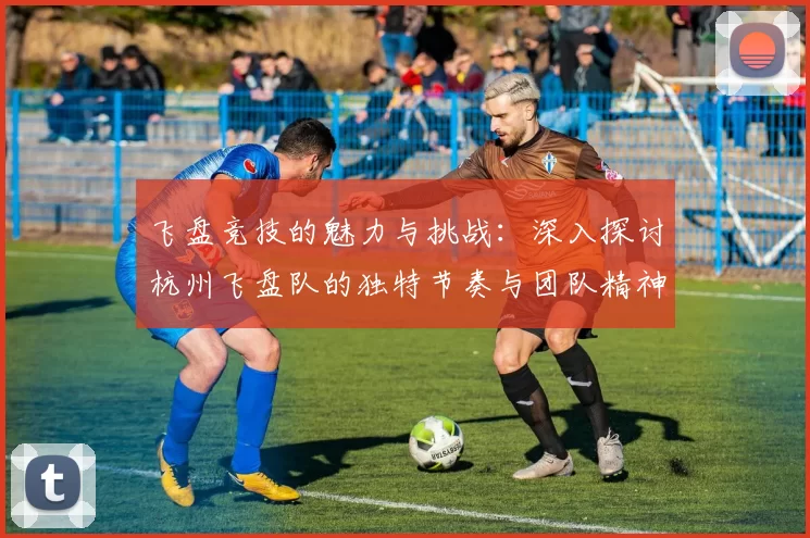 飞盘竞技的魅力与挑战：深入探讨杭州飞盘队的独特节奏与团队精神