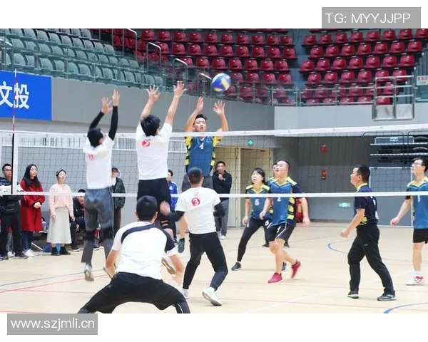 权威发布:全面解析排球比赛经验与实力的最新排行榜 权威发布:全面解析排球比赛经验与实力的最新排行榜