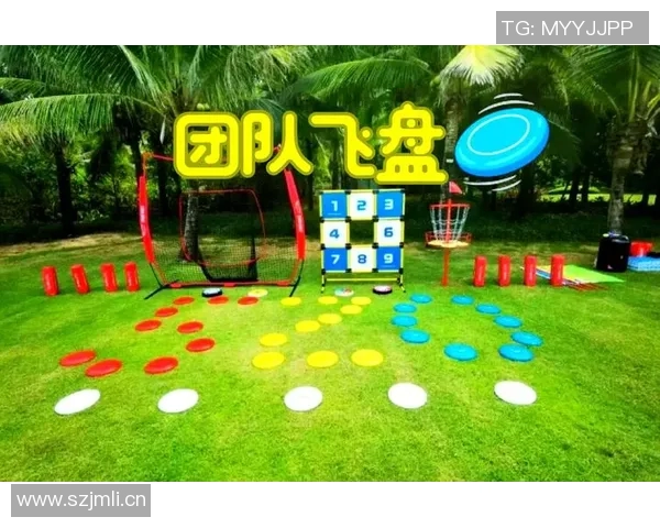 武汉飞盘队团队协作表现的数据分析与提升策略探讨 武汉飞盘队团队协作表现的数据分析与提升策略探讨